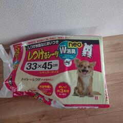 しつけ用トイレの画像