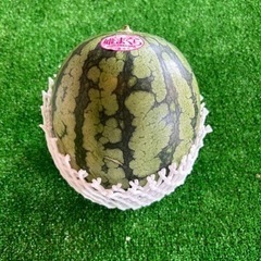 姫まくら　スイカ　Mサイズ　　約2キロ　本日特売‼️の画像