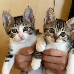 甘えん坊兄妹です(^^)