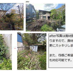 ★伐採、伐根　承ります★大阪市、北摂エリア、他京阪、阪急沿線、兵...