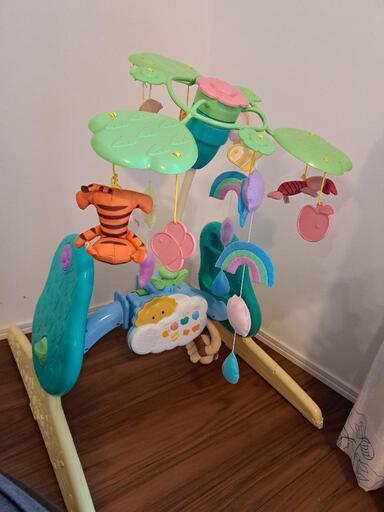 (お取引中)プーメリー