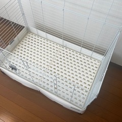 ペット ケージ 小動物   の画像