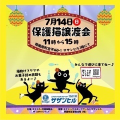 保護猫譲渡会　