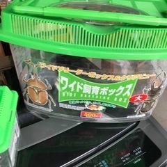 虫カゴの画像