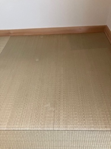 引取相手決定‼️引取(千葉県習志野市)限定、畳9枚、4.5畳分 約85cm四方、厚さ約5.6cm