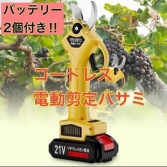 電動剪定ハサミ　園芸用　バッテリー2個　大容量　剪定　軽量　コー...