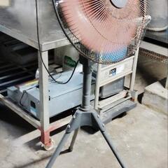 家電 季節、空調家電 扇風機
