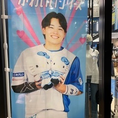 ファイターズ応援📣