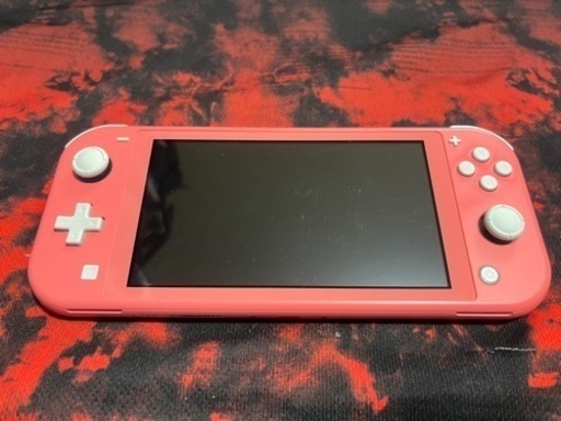 早い者勝ち‼️Switchライト　ダウンロードソフト付き