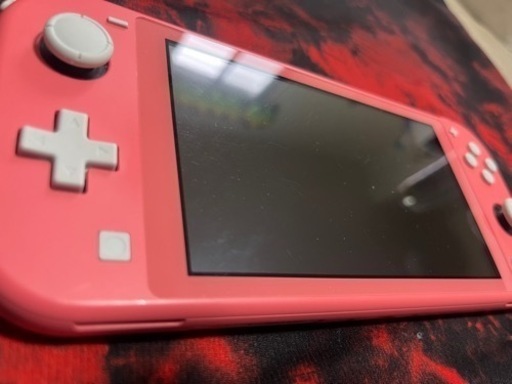 早い者勝ち‼️Switchライト　ダウンロードソフト付き