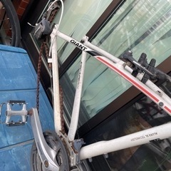 GIANT ESCAPE RX white の画像