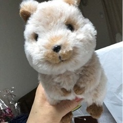 みんなの誕生日会　１１月