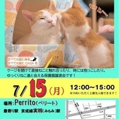 9790 子猫のおうち探し会（@習志野の実籾）