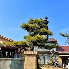 急募‼️【造園業　経験者のみ募集！】働き方ご相談ください！