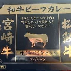 和牛ビーフカレー2