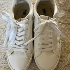ZARA 7/14まて
