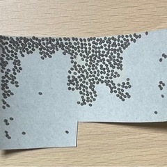 [ネット決済・配送] 蚕の卵　100個(変更可能)の画像