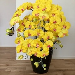 【新品】胡蝶蘭　造花