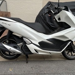 pcx125 jf81 低走行車の画像