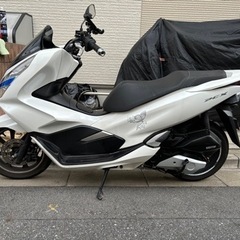pcx125 jf81 低走行車の画像