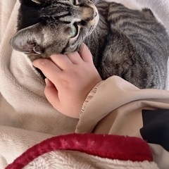 こんにちは♪¨̮(❁ᴗ͈ˬᴗ͈))ﾍﾟｺ💕 - メンバー募集