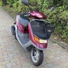 ディオチェスタ 初爆あり