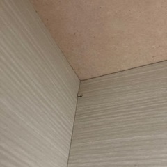 家具 収納家具 カラーボックスの画像