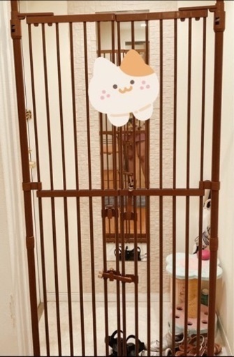 【保護猫向き】のぼれんニャンバリアフリー2、猫キャリー、自動給餌器セット