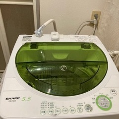 家電 生活家電 洗濯機