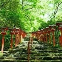 なごや神社巡り⛩️ - メンバー募集