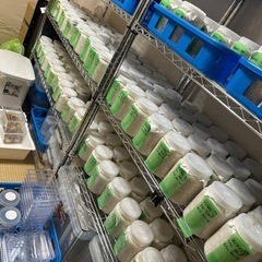 オオクワガタ 能勢YG 幼虫8匹