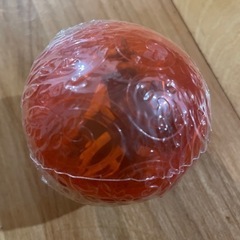 ワンピの実　　の画像