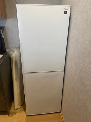 SHARP冷蔵庫2019年製
