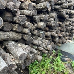 薪　キャンプ用薪