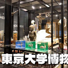 平日のみ開館の東京大学総合研究博物館にいきます