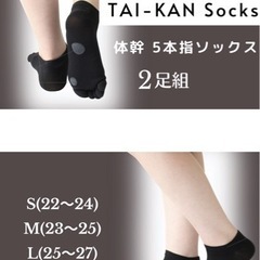 グラントイーワンズ TAI-KAN 5本指ソックス2足組