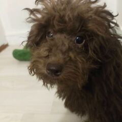 2月生まれ男の子の画像