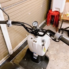 ホンダ　ズーマー　配送可能　支払いは現金or振り込みも可能の画像