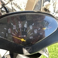 ホンダ Dio  AF62      の画像