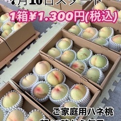 清水白桃【ご自宅用】