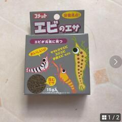 エビの餌