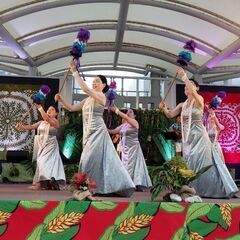 長く愛されているフラスタジオ　Na lei aloha i kamakaniの画像