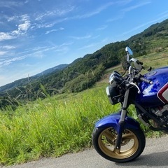【ゆる募】ホーネット250の画像