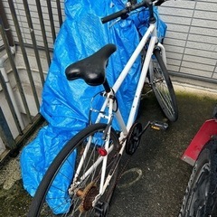決まりました　自転車