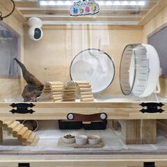 ハリネズミ用二階建てケージ