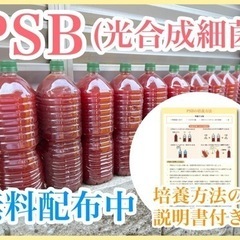 ⑨PSB（2L）無料プレゼント‼︎メダカの水づくり！  の画像