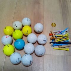 ゴルフグローブ  右手用  グリーンフォーク ブラシ  ロストボ...