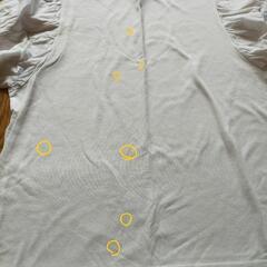 バルーン  刺繍トップスの画像