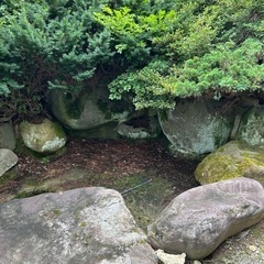 庭石、池、ガーデニング用石30個の画像