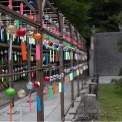 カメラ、写真撮影の話をできるお友達 - メンバー募集